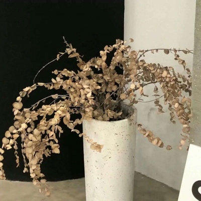 Furry手绘上色教程兽圈社群